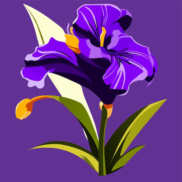 Fleur D'iris Violette Avec Des éléments Jaunes Vifs Sur Le Ressort Des Pétales