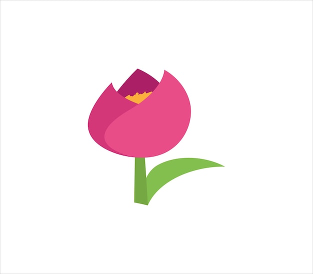 Fleur isolé sur blanc