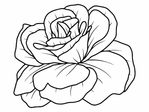 Fleur Line Art