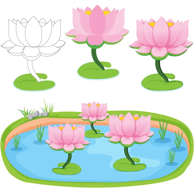 Vecteur fleur de lotus dans l'étang avec de multiples variations