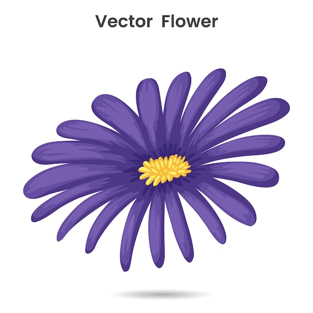 fleur de marguerite isolée sur fond blanc dessin vectoriel