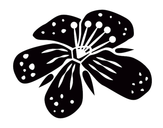 Fleur de millepertuis trouée avec des taches de pétales et des étamines logo fond blanc