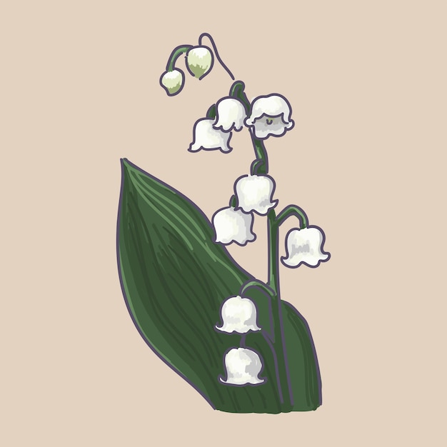 Vecteur fleur de muguet. fabriqué en graphiques vectoriels.