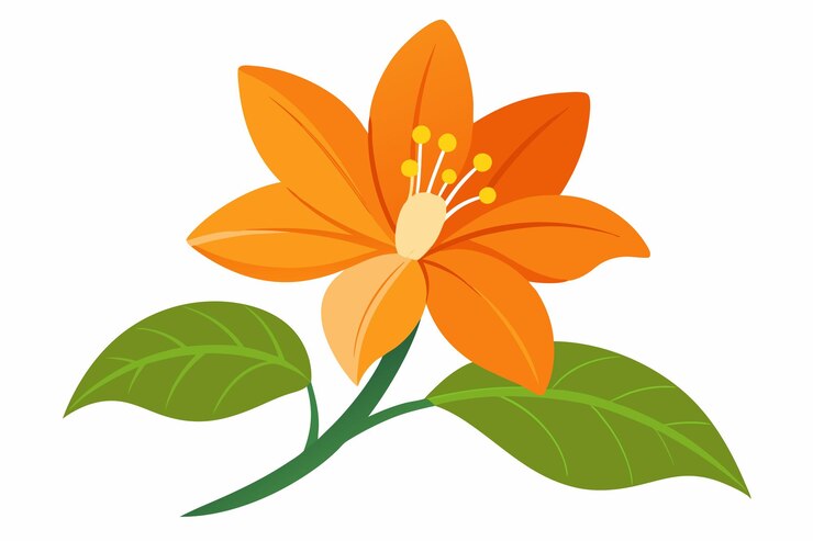Vecteur une fleur d'orange avec des feuilles isolées sur un fond blanc