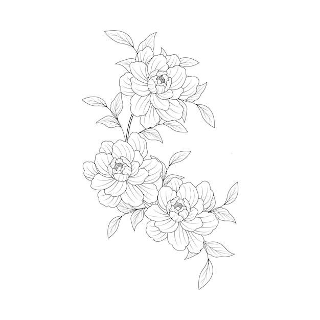 Fleur D'orchidée Isolé Sur Fond Blanc Conception Graphique D'illustration Vectorielle