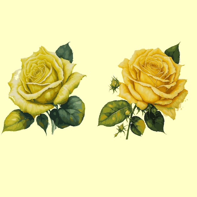 Vecteur fleur rose jaune aquarelle