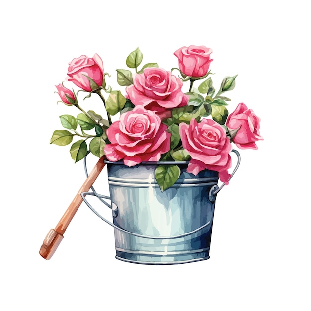 fleur de rose rouge dans un seau illustration à l'aquarelle