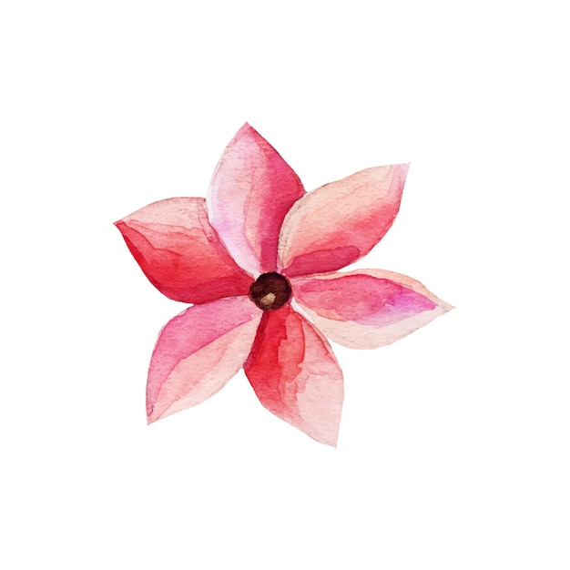 Fleur Rose De Vecteur Isolé Sur Fond Blanc. élément Aquarelle