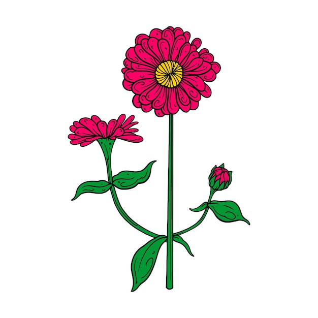 Vecteur une fleur rose