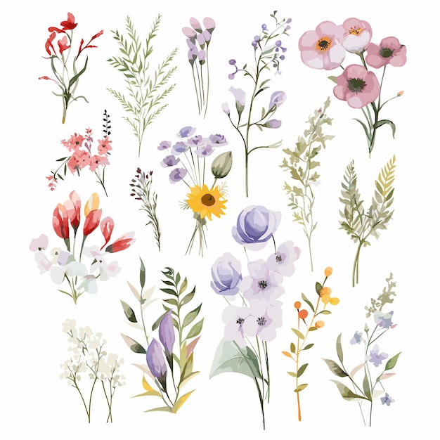 Fleur sauvage pour la décoration du mariage