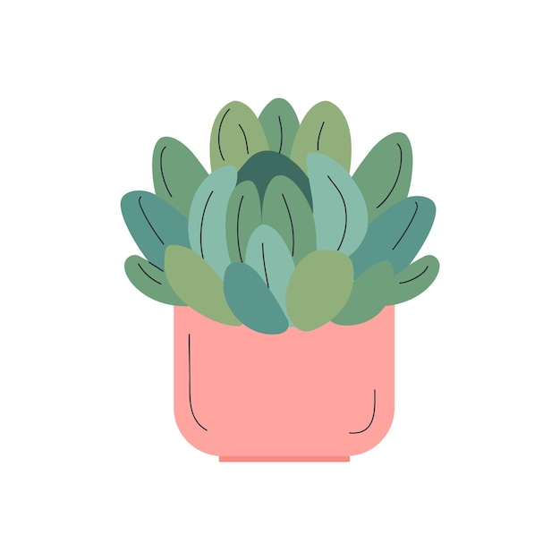 Fleur Succulente Dessinée à La Main Isolée Sur Fond Blanc Belle Plante D'intérieur Dans Un Pot De Fleurs Rose