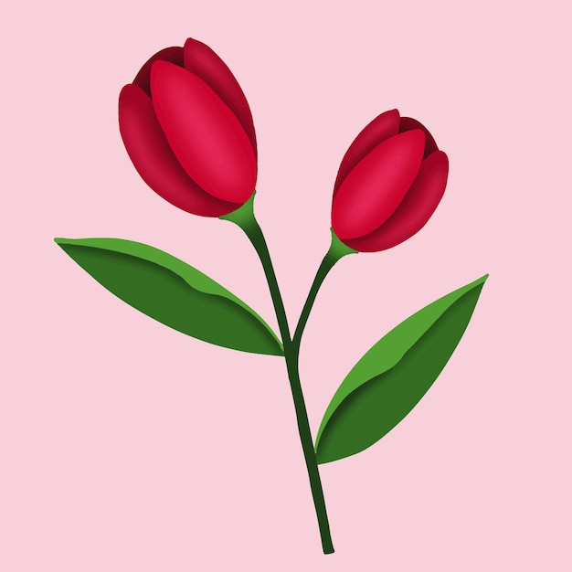 Fleur De Tulipe Rouge