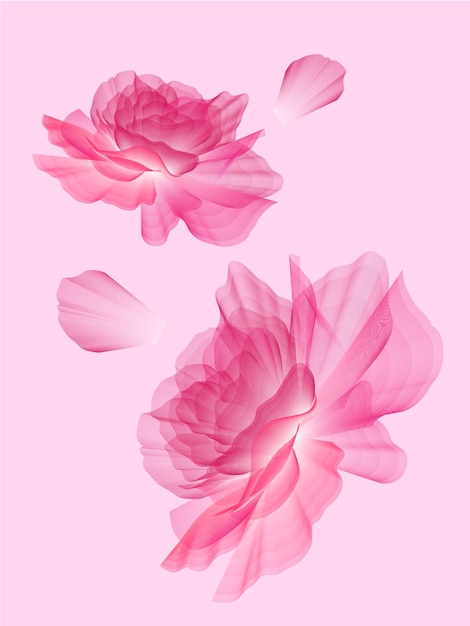 fleur vectorielle de rose rose rose transparente
