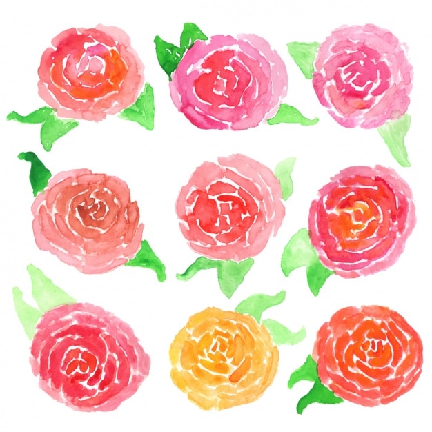 Fleurs Aquarelle Motif