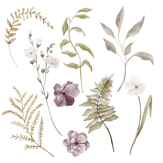 Les fleurs d'automne et les feuilles vertes
