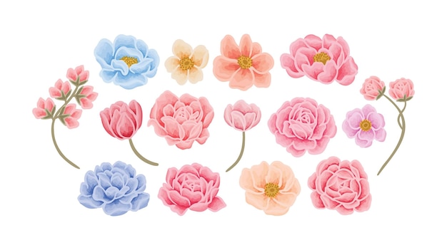 Fleurs botaniques rose tulipe pivoine et branche vector illustration collection d'éléments