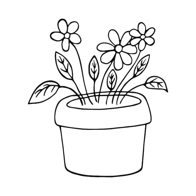 Fleurs avec bourgeons et feuilles dans une plante d'intérieur en pot pour dessin animé linéaire doodle intérieur