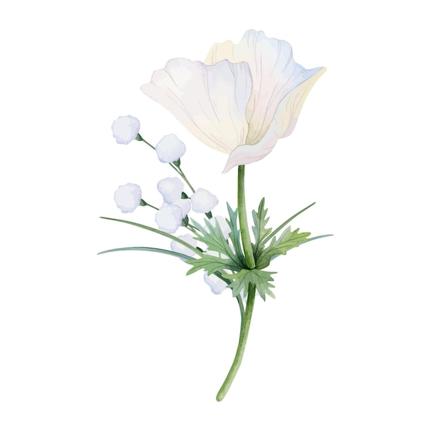 Vecteur des fleurs de champ d'anémone blanches et un bouquet de herbe de printemps illustration à l'aquarelle fleur de pavot légère et aérée