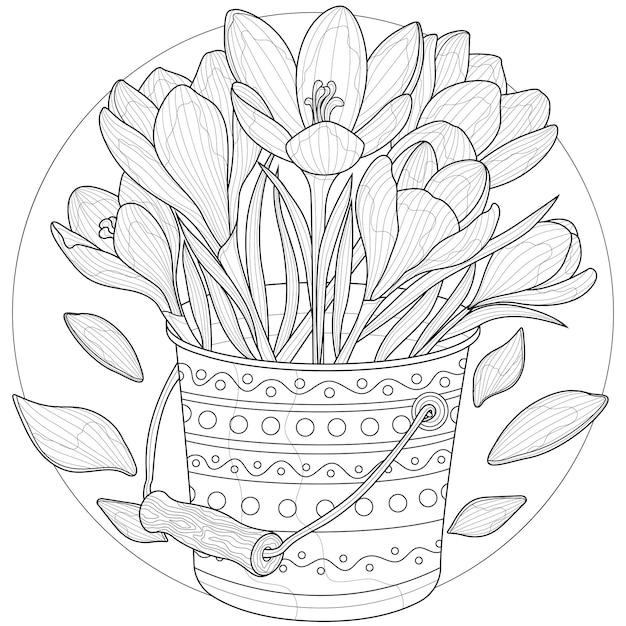 Fleurs Dans Un Seau. Crocus.livre De Coloriage Antistress Pour Enfants Et Adultes. Illustration Isolée Sur Fond Blanc. Dessin Noir Et Blanc. Style Zen-tangle.