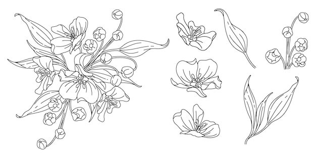 Fleurs De Dessin Au Trait4