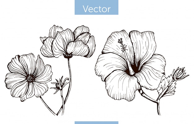 Vecteur fleurs dessinées à la main vecteur monochrome