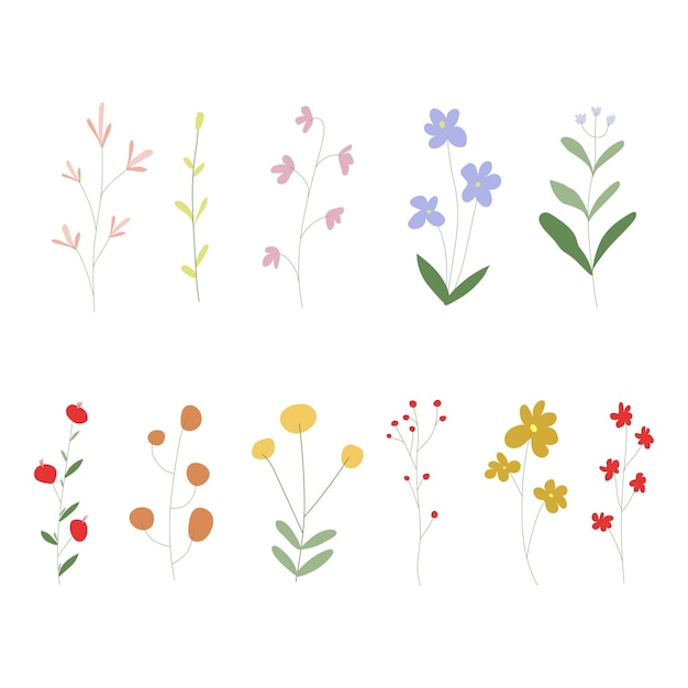 fleurs d'été dessinées à la main