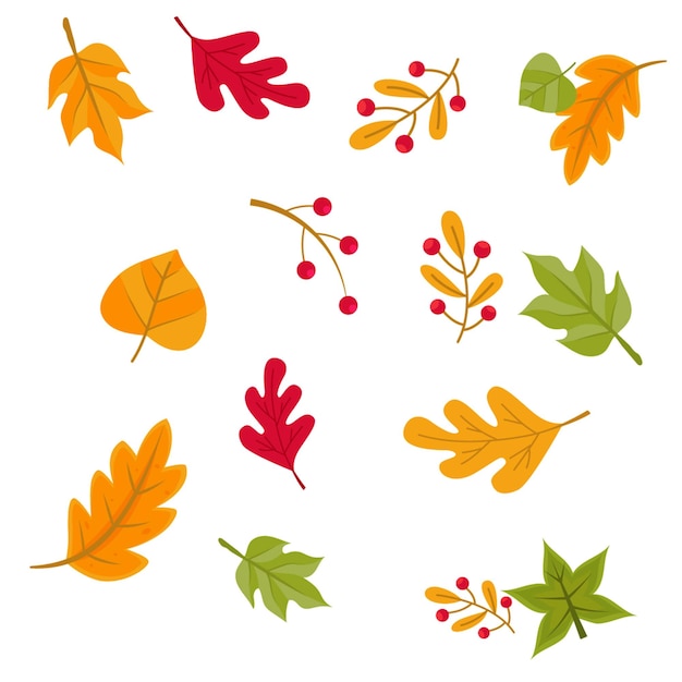 Des fleurs et des feuilles colorées Design vectoriel de grappes Une collection de fleurs et de feuilles
