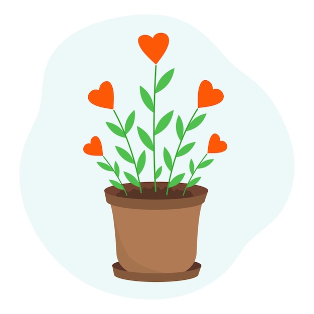 Fleurs En Forme De Coeur. Plante D'amour En Pot. Conception Pour La Saint Valentin. Concept De Bonté Et D'amour.