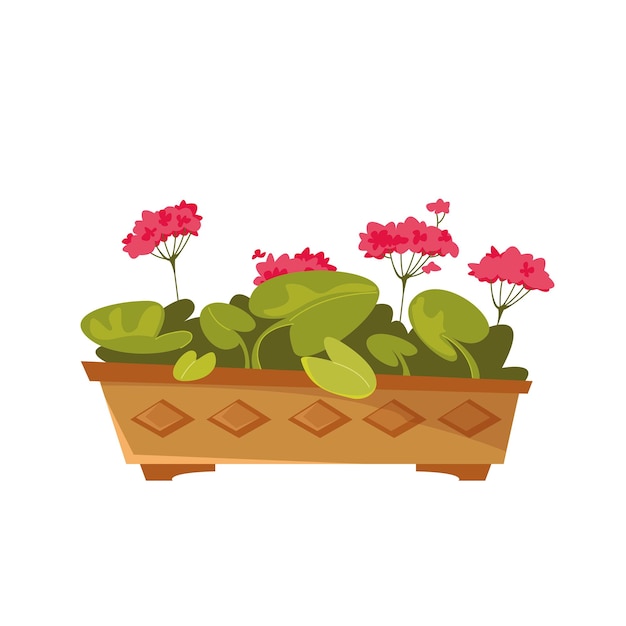 Fleurs De Géranium Dans Un Pot Illustration Vectorielle En Style Cartoon Clipart Isolé