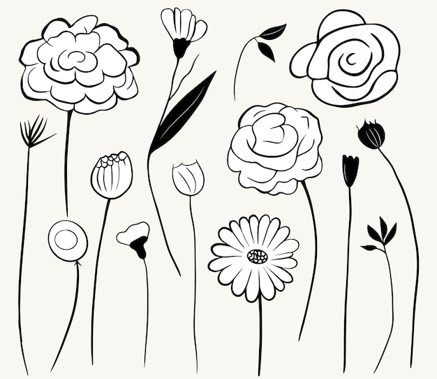 Vecteur des fleurs griffonnées monochromes éléments floraux set d'illustrations botaniques délimitées plantes dessinées à la main