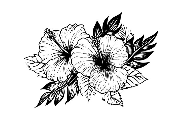 Vecteur fleurs d'hibiscus dans une gravure sur bois vintage style gravure illustration vectorielle
