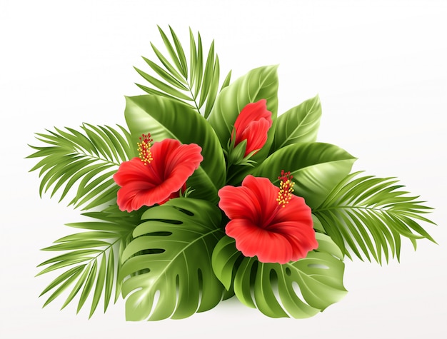Fleurs d'hibiscus tropicaux exotiques et feuilles de monstera, feuilles de palmier de plantes tropicales en arrière-plan.