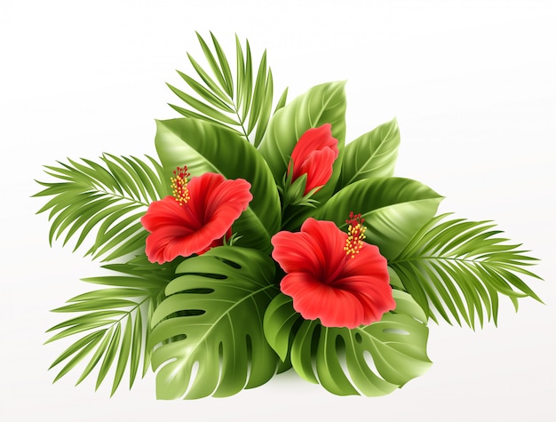 Fleurs D'hibiscus Tropicaux Exotiques Et Feuilles De Monstera, Feuilles De Palmier De Plantes Tropicales En Arrière-plan.