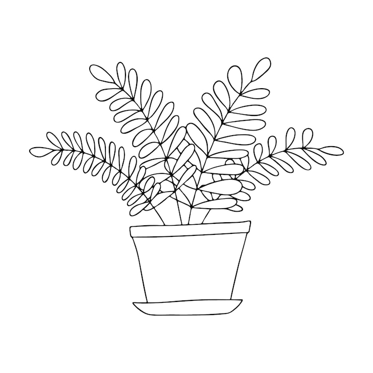 Vecteur des fleurs d'intérieur dans un pot dans le style de doodlecontour dessin à la mainimage en noir et blanccolorationillustration vectorielle