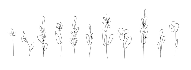 Des fleurs isolées sur des fleurs blanches dessinées sur une seule ligne