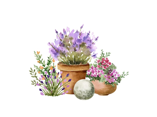 fleurs de jardin en pots et plantes illustration aquarelle isolé sur fond blanc