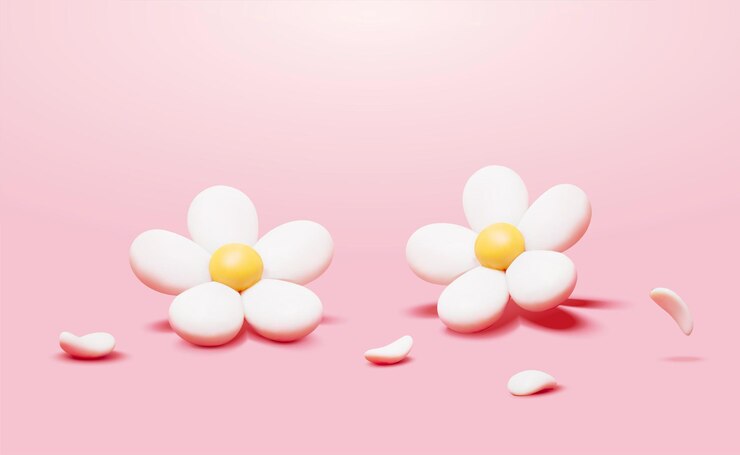 Vecteur des fleurs de marguerites mignonnes