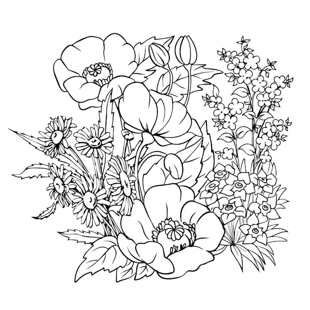 Fleurs Pavot Camomille Vecteur Noir Et Blanc