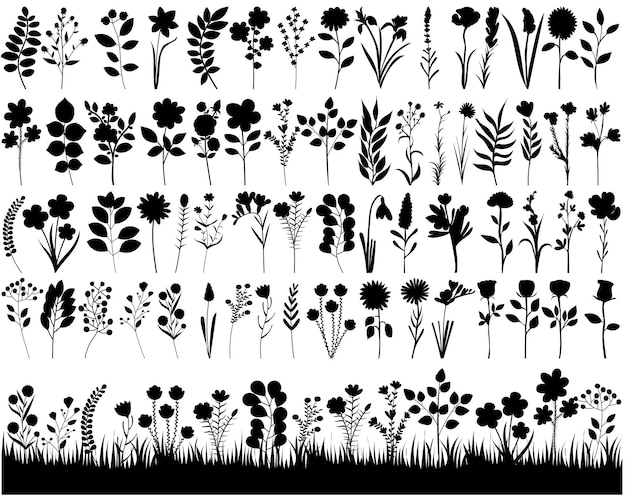 Fleurs Plantes Set Silhouette Vecteur Isolé