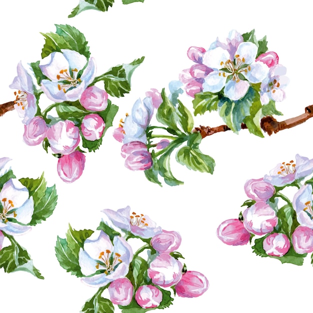 Vecteur fleurs de pomme aquarelle. arrière-plan transparent. illustration vectorielle.
