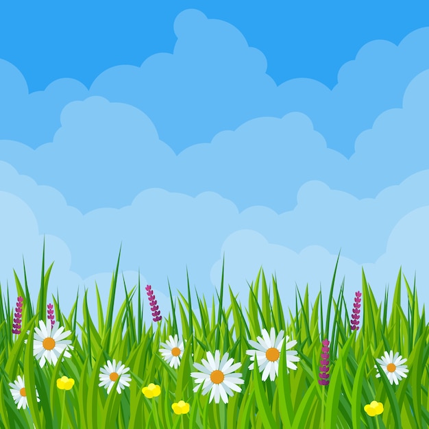 Fleurs De Prairie De Printemps En Illustration Design Plat