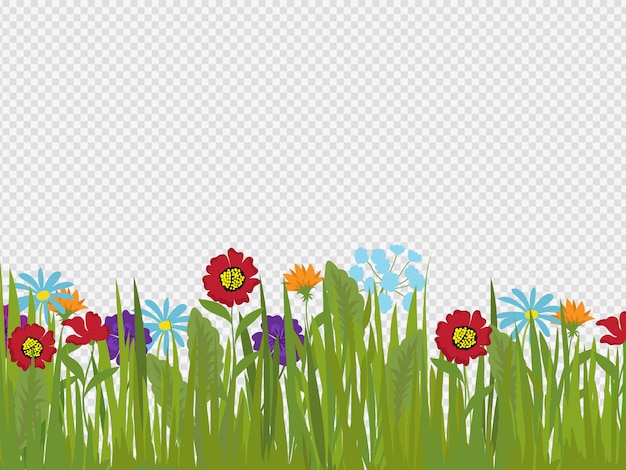 Fleurs de printemps et bordure d'herbe sur fond transparent