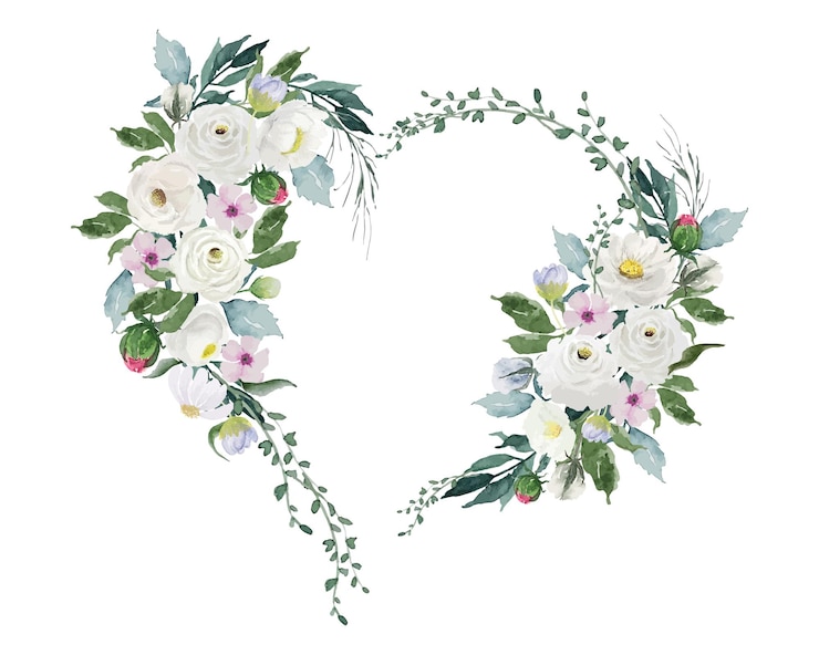 Vecteur fleurs de roses blanches avec bordure en forme de coeur aquarelle dessin docoration article