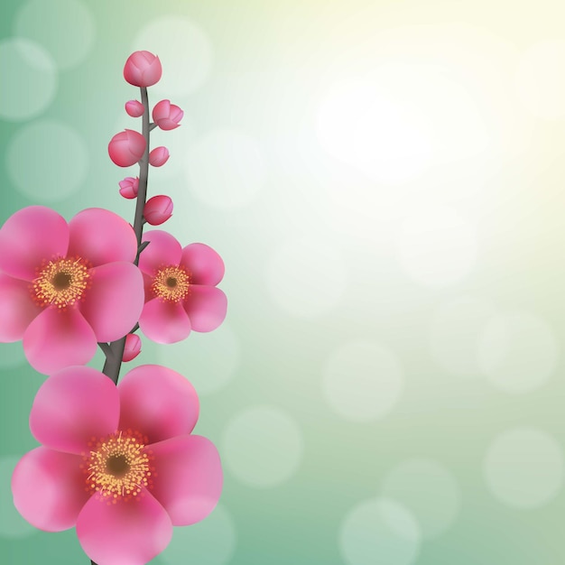 Fleurs de Sakura avec Bokeh