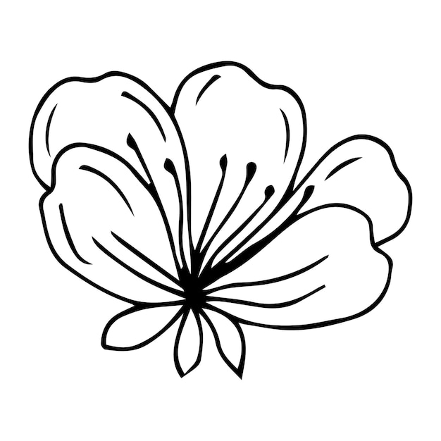 Fleurs De Sakura. Illustration Vectorielle. Contour Noir