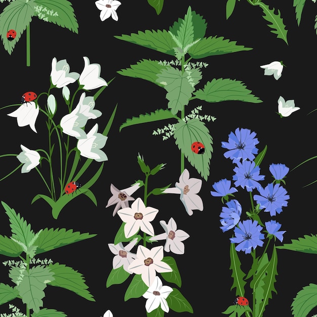 Fleurs sauvages et coccinelle sur fond noir Illustration vectorielle d'été