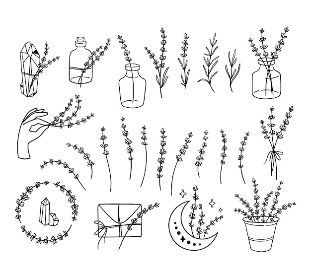 Fleurs sauvages lavande noir et blanc clipart bundle ligne fleur de lavande ensemble vector illustration