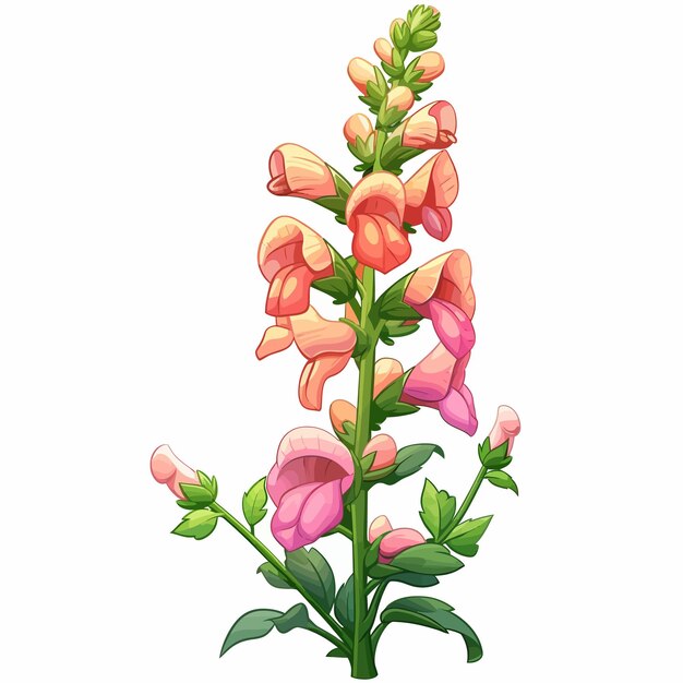 Des Fleurs De Snapdragon