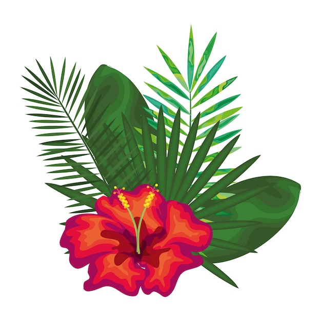 fleurs tropicales carte décorative vector illustration design