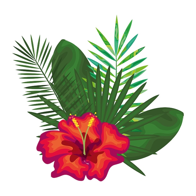 Vecteur fleurs tropicales carte décorative vector illustration design